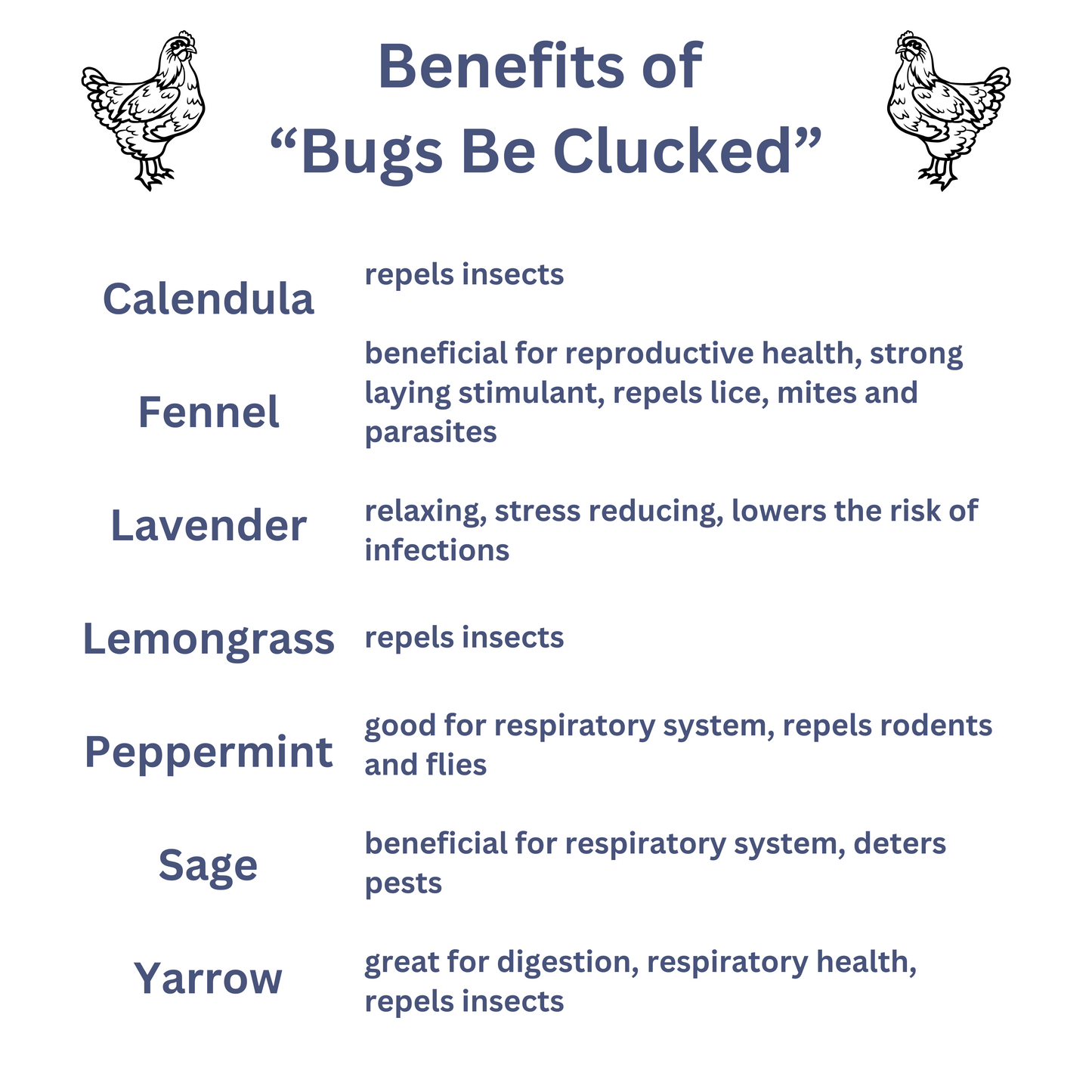 Chicken Nesting Herbs