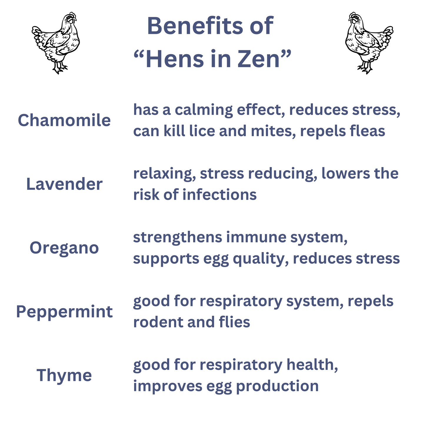 Hens in Zen Chicken Nesting Blend