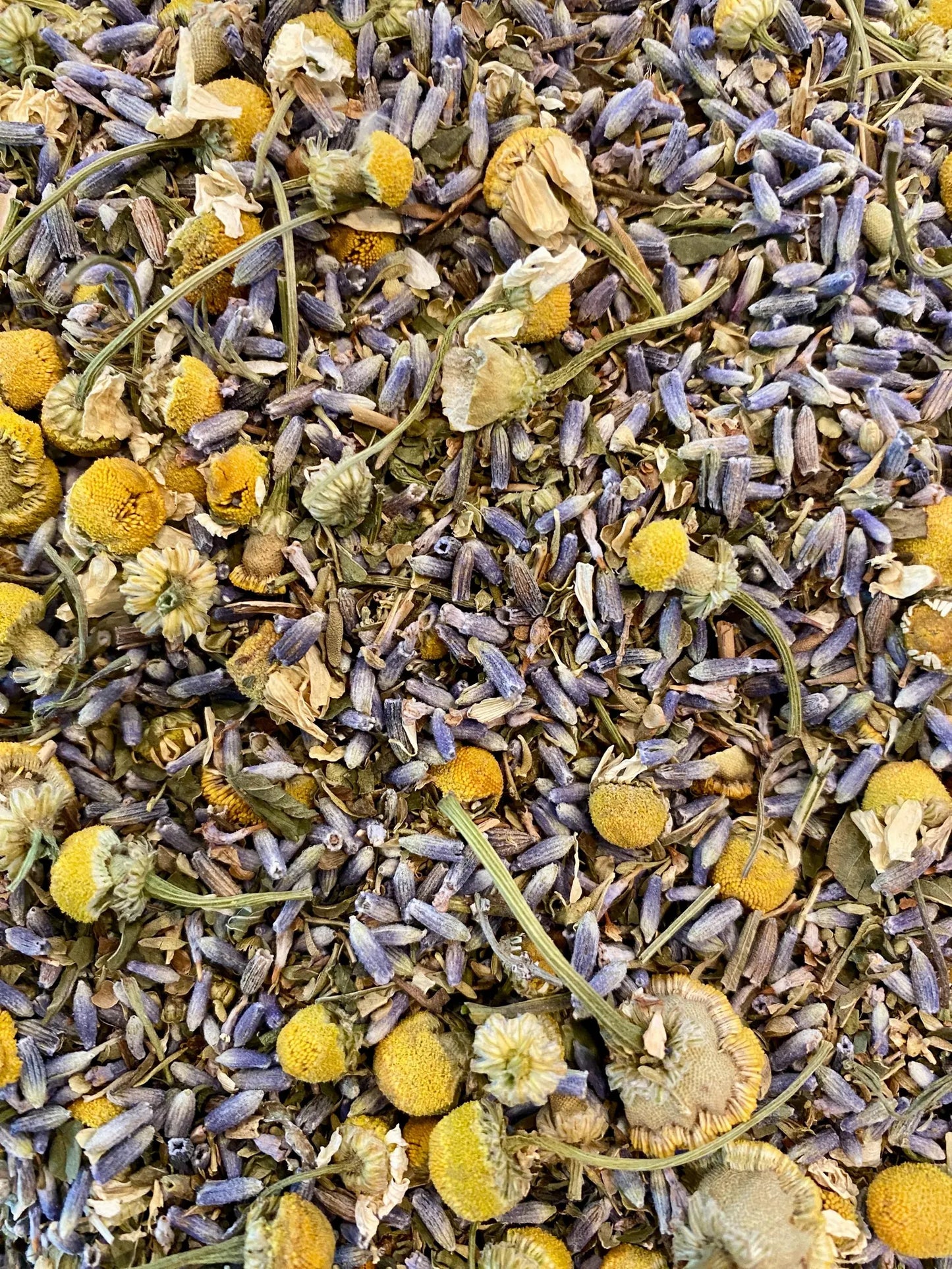 Hens in Zen Chicken Nesting Blend