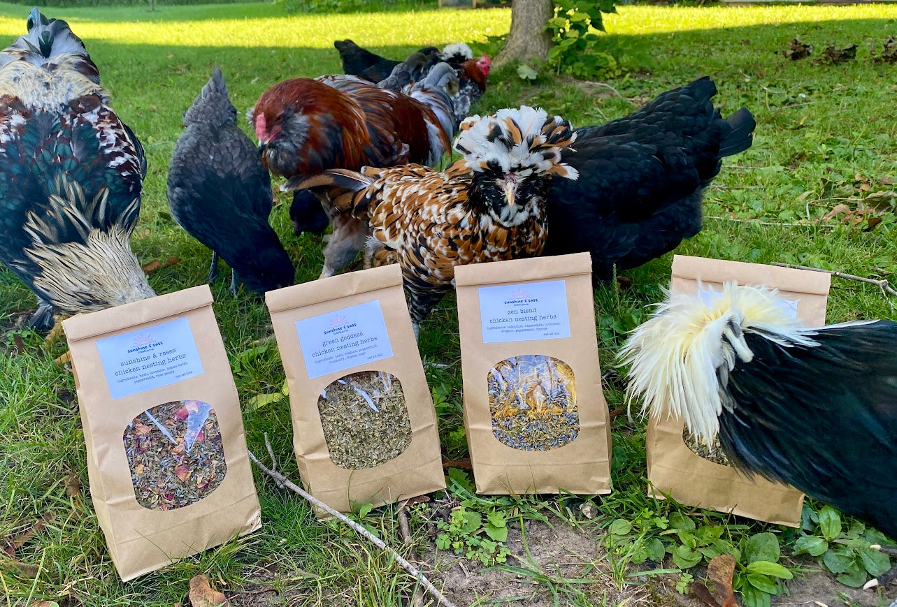 Chicken Nesting Herbs